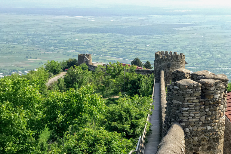 Tbilisi: Full-Day Kakheti &amp; Sighnaghi Tour with Wine TastingPrivate Tour with Hotel Pickup and Drop-off