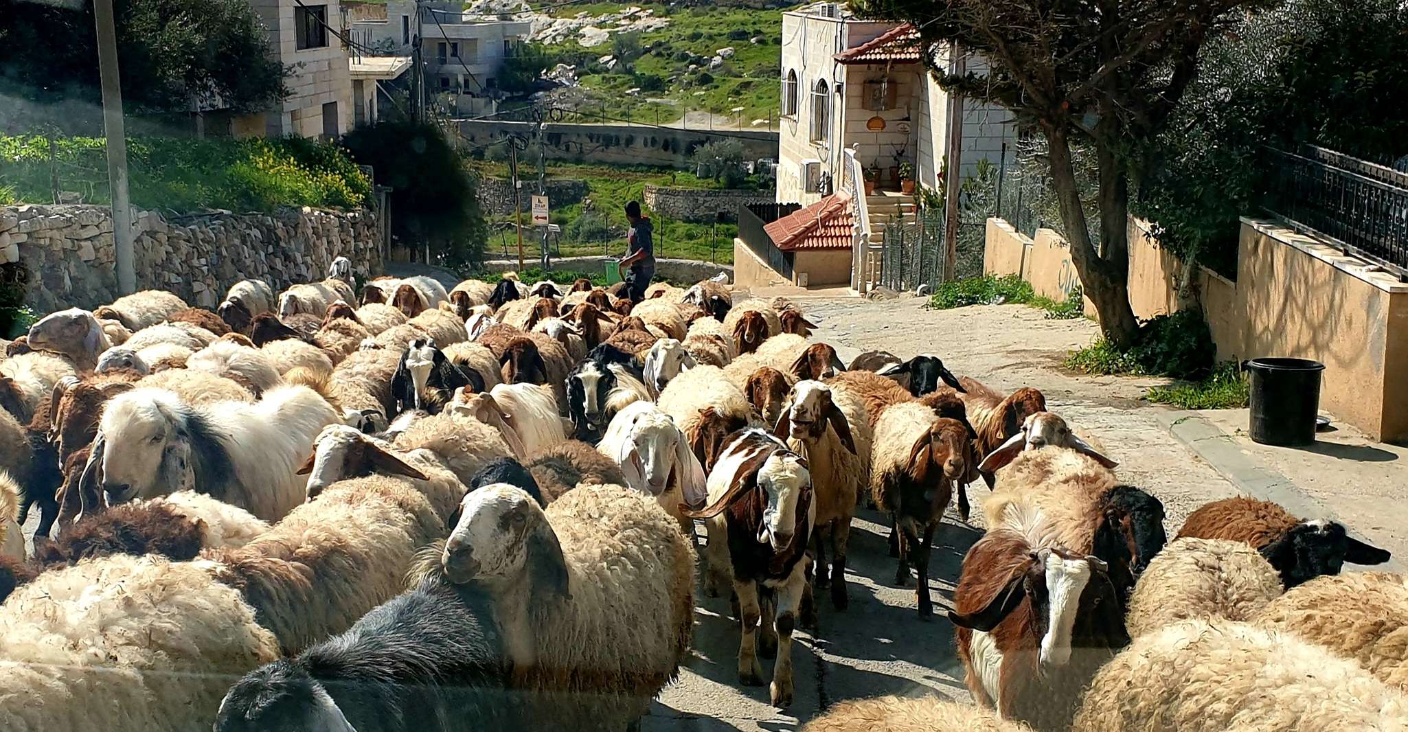 Excursão privada de Tel Aviv, Jerusalém, Belém e Mar Morto - Hizvo