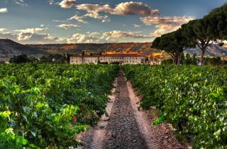 Von Madrid aus: Ribera del Duero, Peñafiel und 2 Top-Weinkellereien