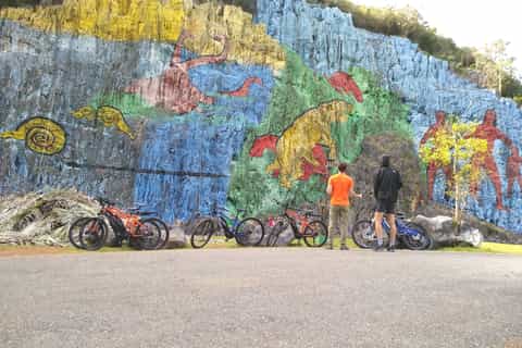 La Havane: excursion d'une journée en vélo électrique à Viñales