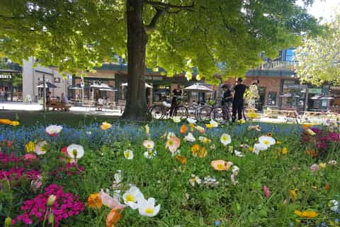 Christchurch: 2-Hour City Cycle Tour