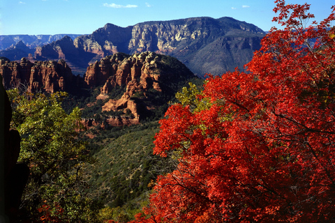 Sedona: 2-timmars jeeptur med höjdpunkter