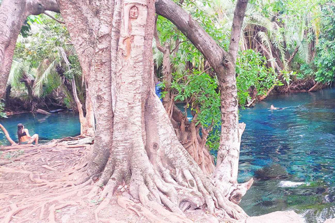 Arusha: Kikuletwa Hot Springs Day Trip with Lunch