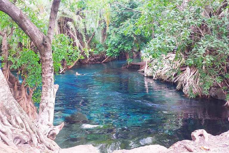 Arusha: Kikuletwa Hot Springs Day Trip with Lunch