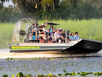 Orlando: Boggy Creek - Halbstündige Fahrt mit dem Sumpfboot Orlando: Boggy Creek - Halbstündige Fahrt mit dem Sumpfboot