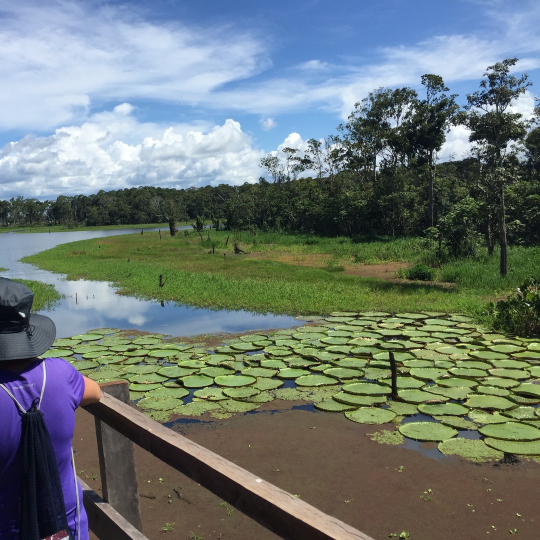 Manaus: 2-Day River Tour With Overnight Stay | GetYourGuide