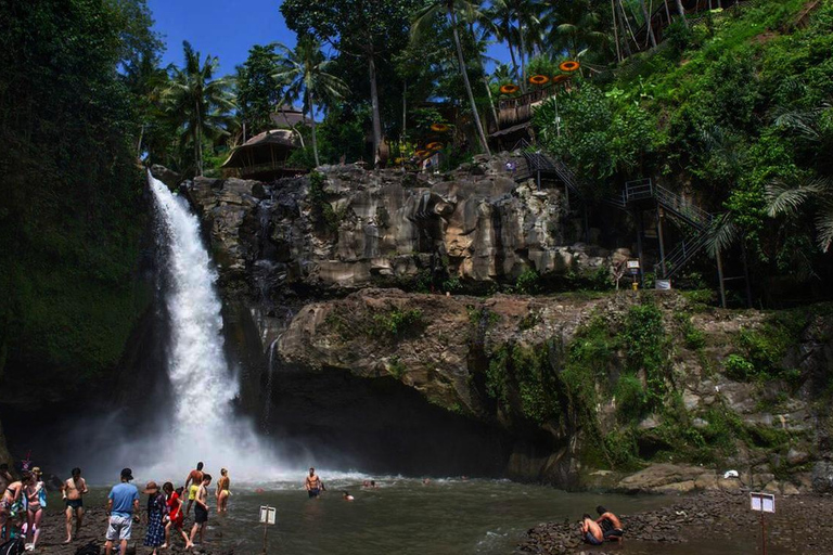 Bali: Ubud Rice Terraces & Waterfall Tour by Bali Bagus