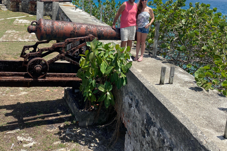 Höjdpunkter från 7 mile negril och solnedgång vid ricks cafe