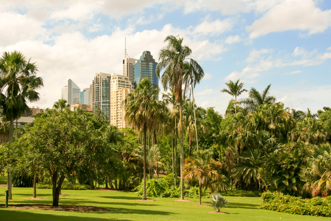 Brisbane essenziale: tour a piedi della città