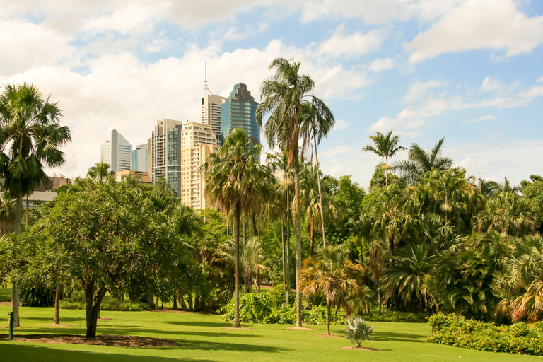 Essential Brisbane: piesza wycieczka po mieście