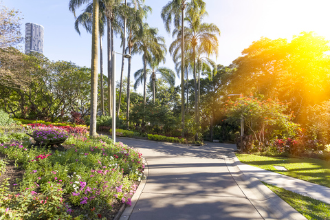 Brisbane esencial: recorrido a pie por la ciudad