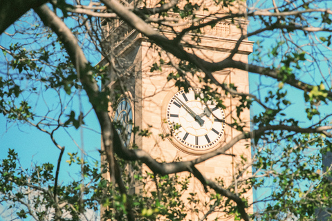 Essencial Brisbane: City Walking Tour