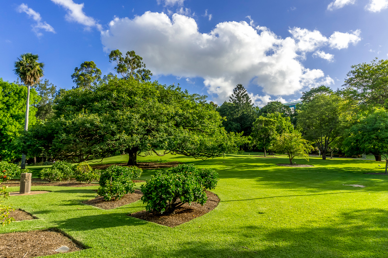 Essential Brisbane: City Walking Tour