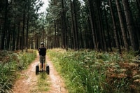 Tsitsikamma Nationalpark, 1 oder 2-stündige Segway-Tour - Housity