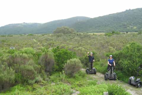 Tsitsikamma National Park: 1 or 2-Hour Segway Tour