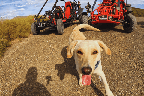 Tour guidato in buggy a MijasLas Lagunas de Mijas: Tour guidato in buggy