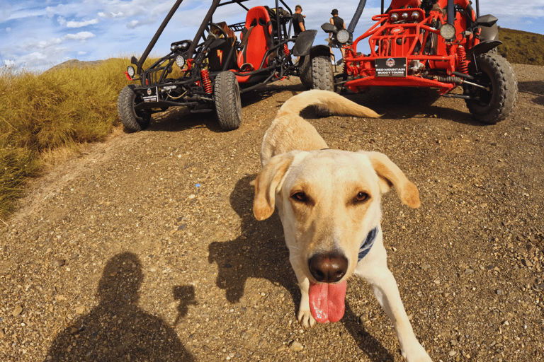 Guided Buggy Tour MijasLas Lagunas de Mijas: Guided Buggy Tour