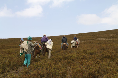 Parque Nacional de las Montañas Simien: excursión de senderismo de día completo