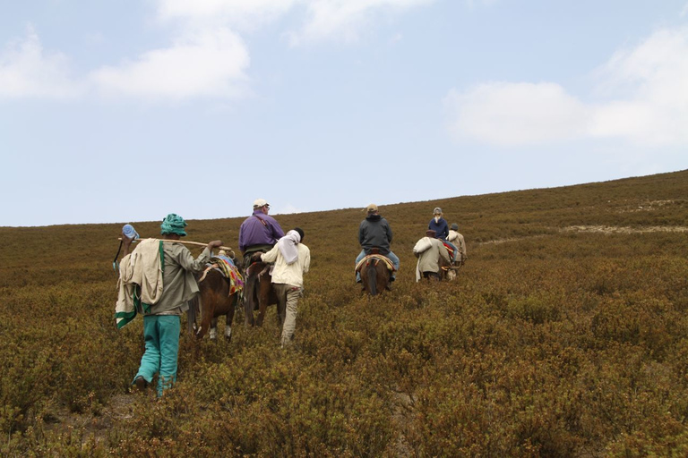 Parque Nacional das Montanhas Simien: excursão de caminhada de dia inteiro