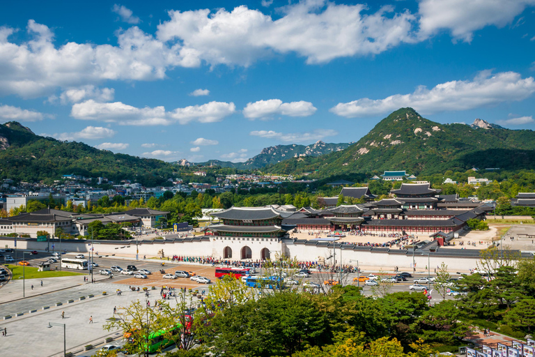 Seoul: Private & Customizable Guided Tour 4-Hour Private Tour for Groups