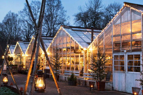 斯德哥尔摩：2 小时 Djurgården 观光旅游