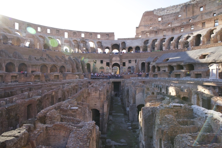 Tour: Coliseo y monte Palatino sin hacer colaTour del Coliseo y monte Palatino en inglés con 20 personas