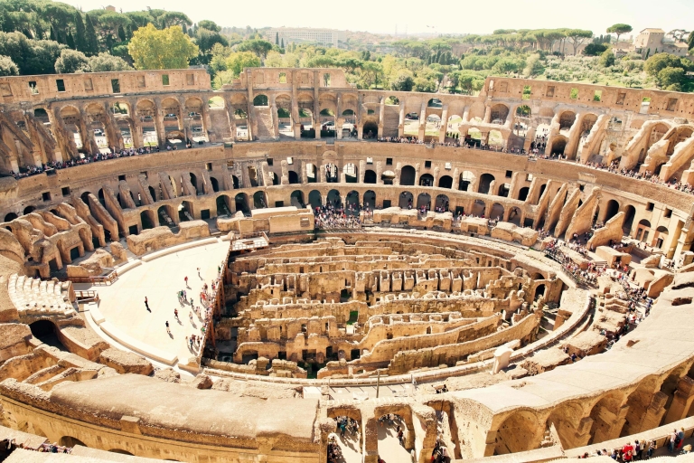 Tour: Coliseo y monte Palatino sin hacer colaTour del Coliseo y monte Palatino en inglés con 20 personas