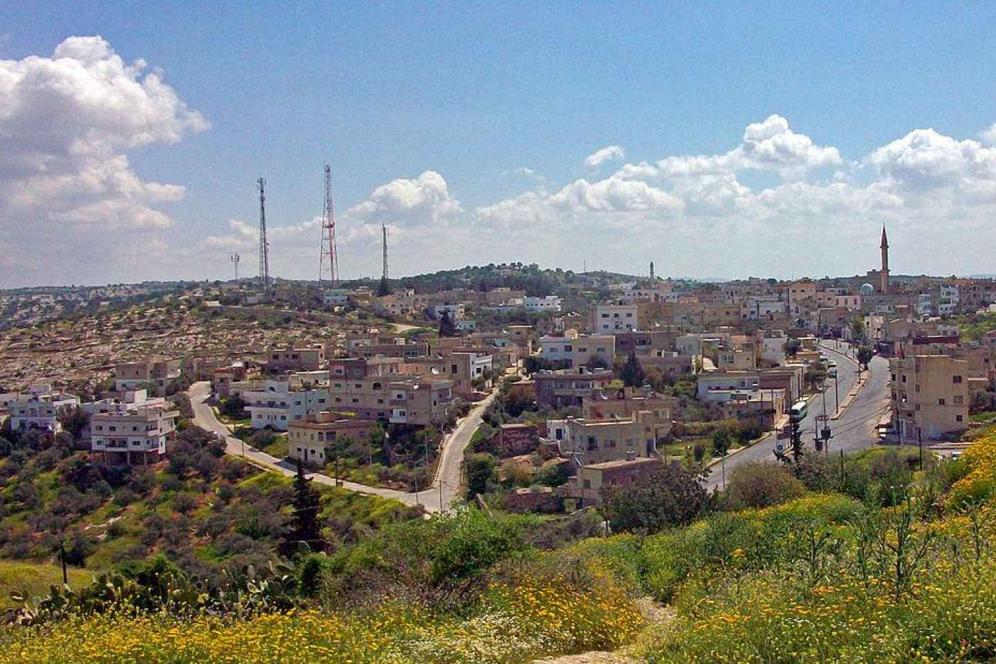 Aus Amman: Jerash, Umm Qais und Jesu Höhlenprivatreise