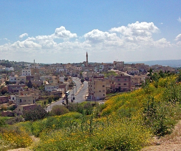 From Amman: Jerash, Umm Qais, and Jesus' Cave Private Trip