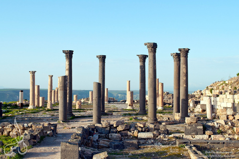 D'Amman: Jerash, Umm Qais et Jesus 'Cave Private TripVisite avec guide