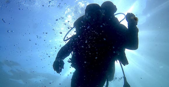 Arrábida - Sesimbra: Eco-Friendly Beginner&#39;s Scuba Diving