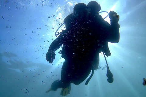 Lisbonne : Plongée sous-marine écologique pour débutants