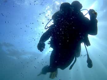 Lisboa: Buceo ecológico para principiantes