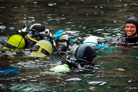 Lisbonne : Plongée sous-marine écologique pour débutants