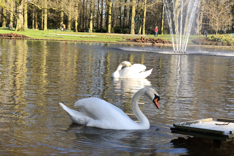 Amsterdam: Il giardino dei tulipani di Keukenhof e l&#039;esperienza di GiethoornKeukenhof e Giethoorn: esperienza da Amsterdam