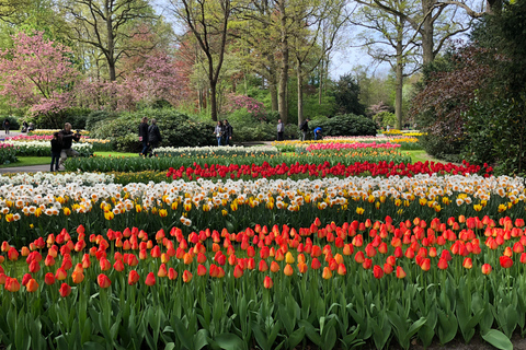 Amsterdam: ogród tulipanowy Keukenhof i zwiedzanie Giethoorn