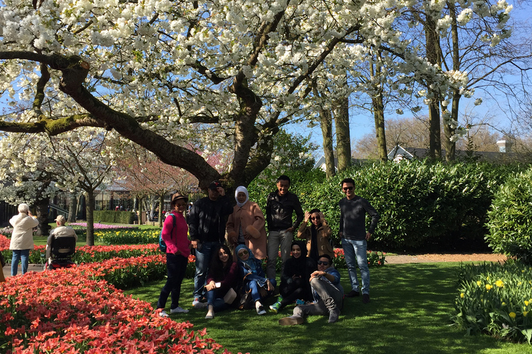 Amsterdam: Keukenhof Tulip Garden and Giethoorn Experience