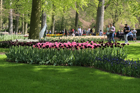 Amsterdam: ogród tulipanowy Keukenhof i zwiedzanie Giethoorn