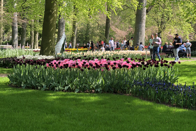 Amsterdam: ogród tulipanowy Keukenhof i zwiedzanie Giethoorn