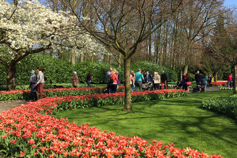 Amsterdam: ogród tulipanowy Keukenhof i zwiedzanie Giethoorn