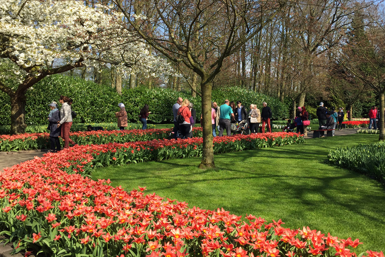 Amsterdam: Keukenhof Tulip Garden and Giethoorn Experience