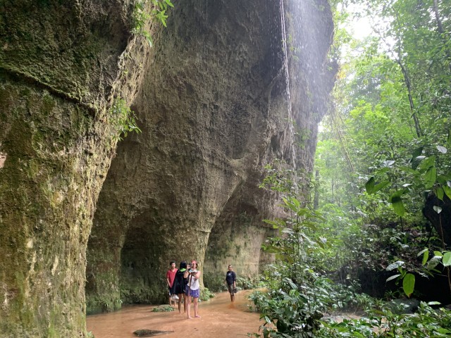 Visit Manaus Presidente Figueiredo Caves and Waterfalls Tour in Manaus