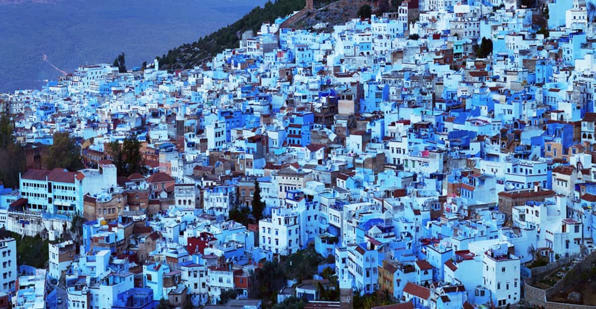 From Fes: Chefchaouen Instagram Tour