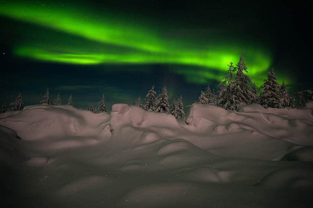 Reykjavik: Private Northern Lights Tour met Lobster Feast