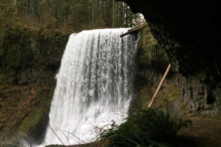 Portland: Silver Falls Hike and Wine Tour