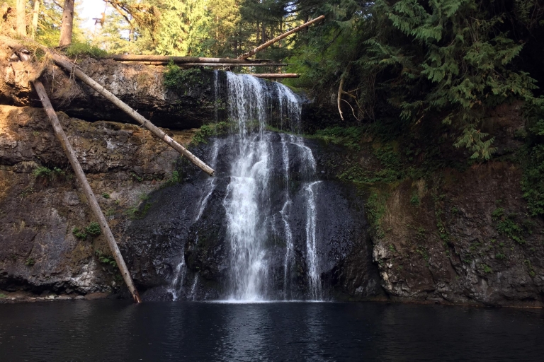 Portland: excursión de senderismo y vino de Silver Falls