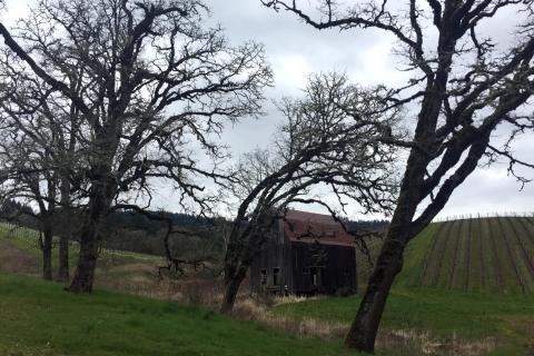 Portland: Silver Falls Wanderung und Weintour