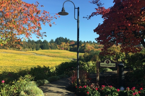 Portland: randonnée aux chutes d'argent et visite du vin
