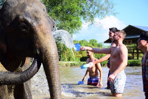Chiang Mai: Elephant Care at Elephant Retirement Park Half-Day Afternoon Elephant Care Program