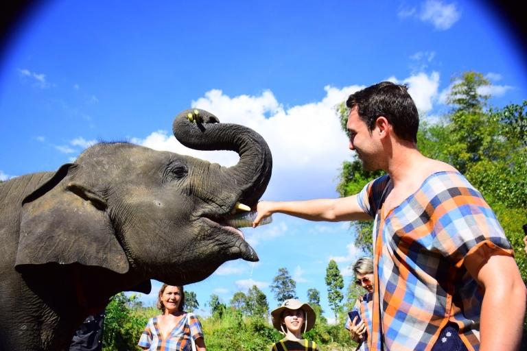 Chiang Mai: verzorgingsprogramma olifantenopvangcentrumMiddag halve dag verzorgingsprogramma olifantenopvangcentrum